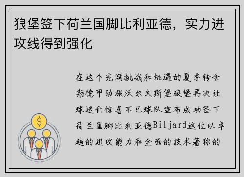 狼堡签下荷兰国脚比利亚德，实力进攻线得到强化